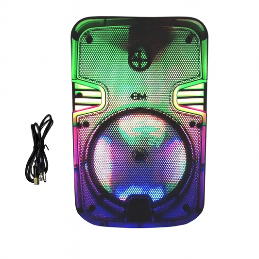 Parlante 6.5PLG luces RGB