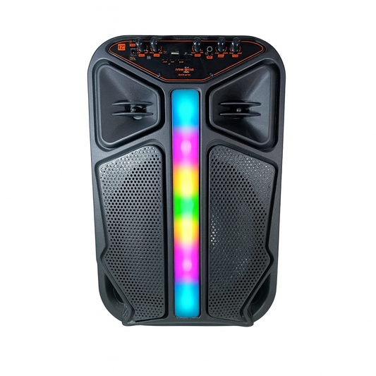 Parlante 12PLG c/mic BT