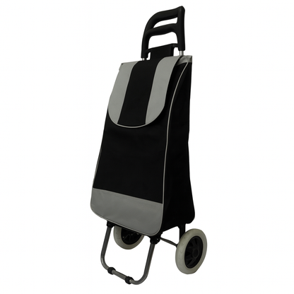 Changuito carrito de compra