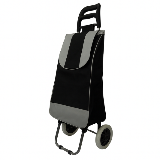 Changuito carrito de compra