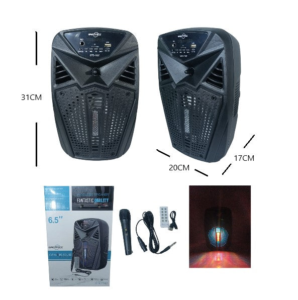 Parlante 6.5 PLG BT/FM/USB