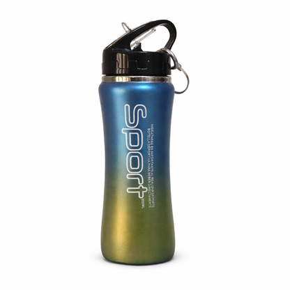 Botella Sport 500ML cromada