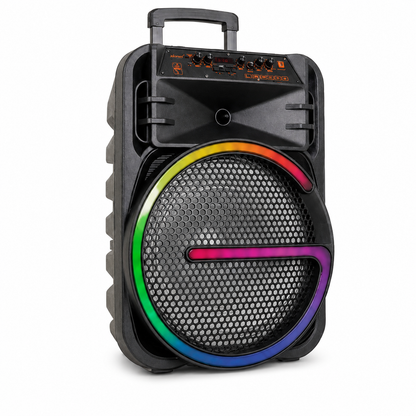 Parlante karaoke 15PLG kts-2170