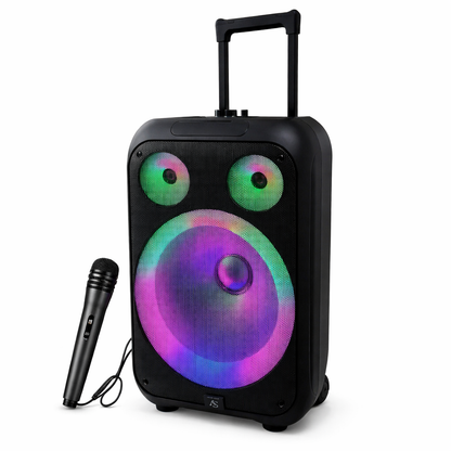 Parlante 12 PLG c/micrófono