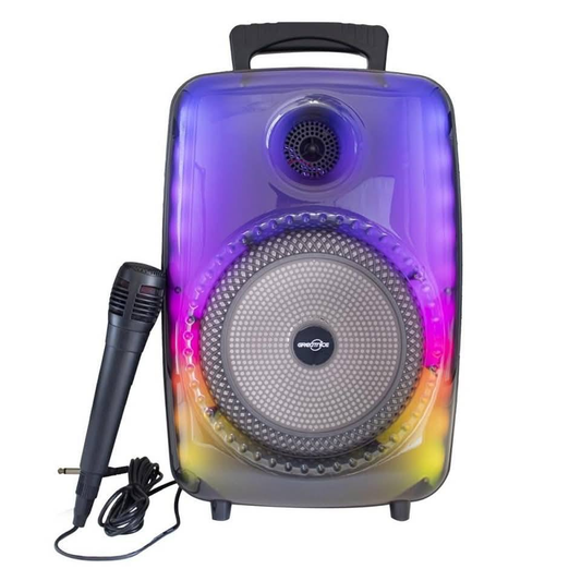 Parlante de 8 plg con micrófono