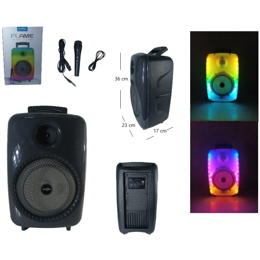 Parlante de 8 plg con micrófono